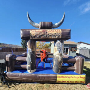 Mechanical Bull